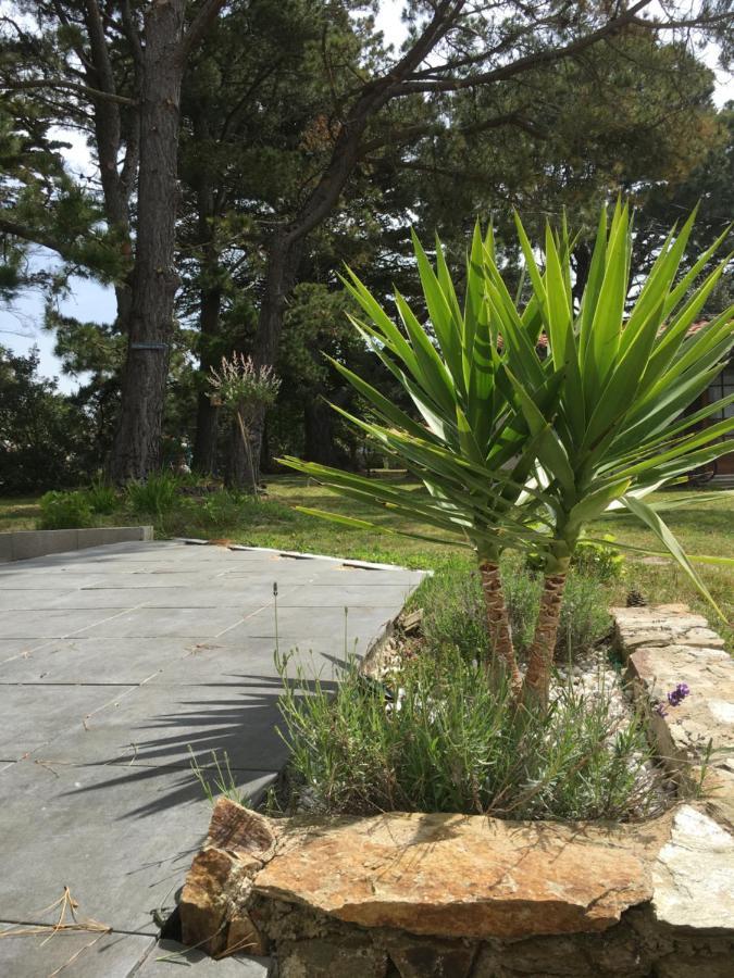 Domaine Hortensias La Sennetiere Exteriör bild